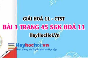 Giải bài 1 trang 45 Hoá 11 SGK Chân trời sáng tạo